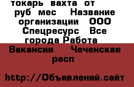 токарь. вахта. от 50 000 руб./мес. › Название организации ­ ООО Спецресурс - Все города Работа » Вакансии   . Чеченская респ.